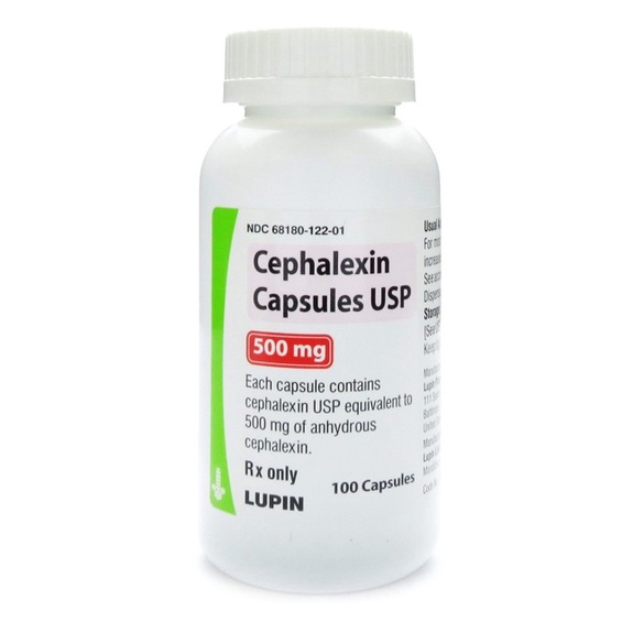 Cephalexin
